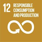 Ensure sustainable consumption and production patterns logo